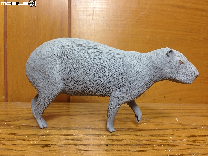 [動物創作]水中的...豬?1/10水豚