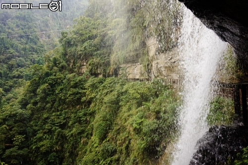 台北長征阿里山-三陽Rv270-仲夏避暑趣