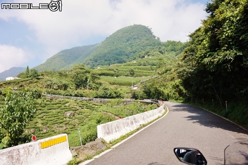 台北長征阿里山-三陽Rv270-仲夏避暑趣
