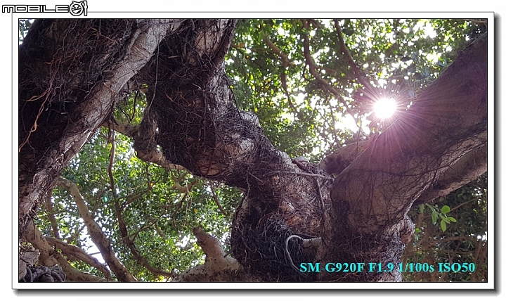 [體驗文]帶著Galaxy S6 一起去旅行 ~澎湖二日遊~