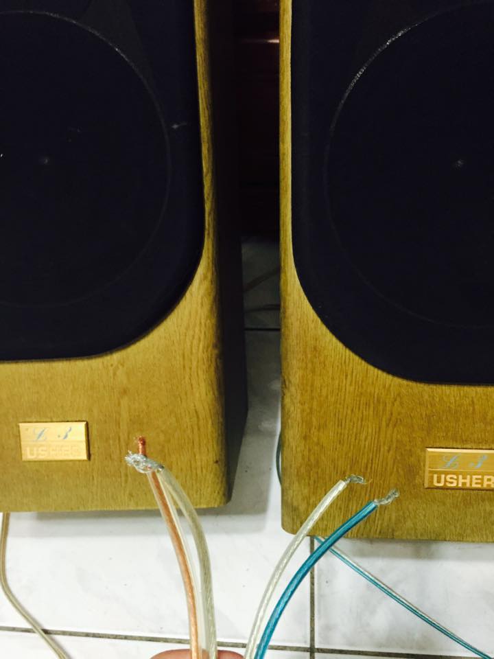 USHER L3 音響整理請益