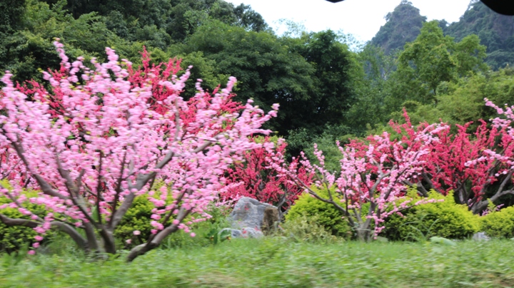 桂林、陽朔漓江風情四日遊(第一天)