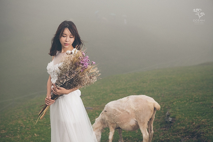 [酷暑拍婚紗清涼景點推薦] 清境