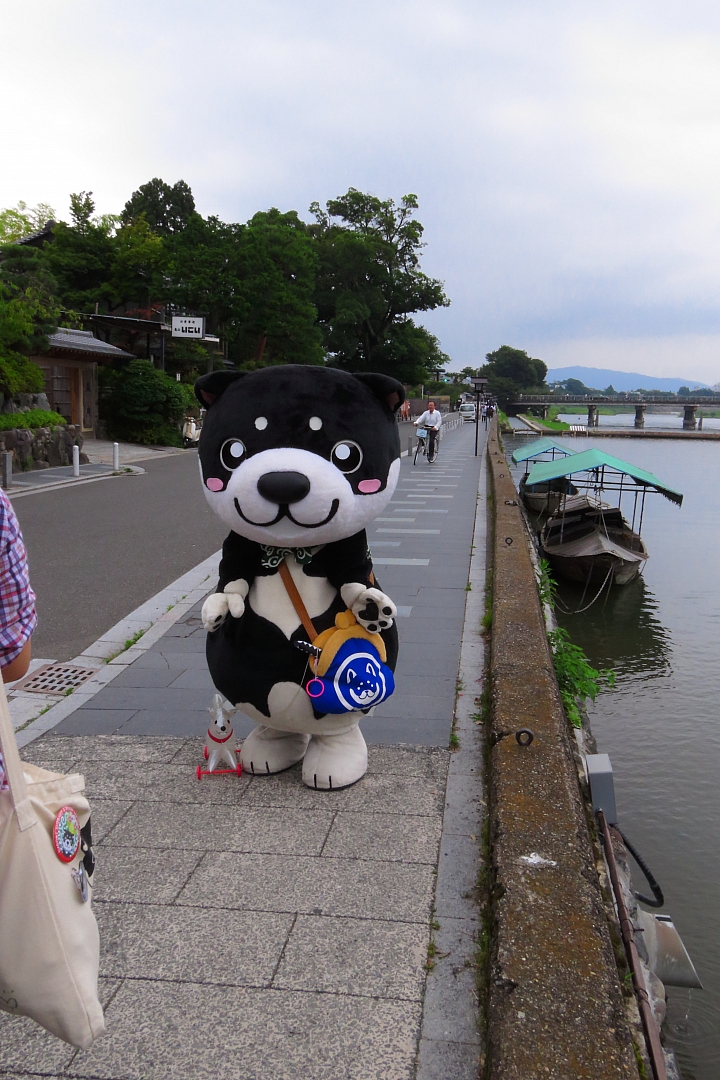 日本京都五日自由行---DAY3 & DAY4 &DAY5