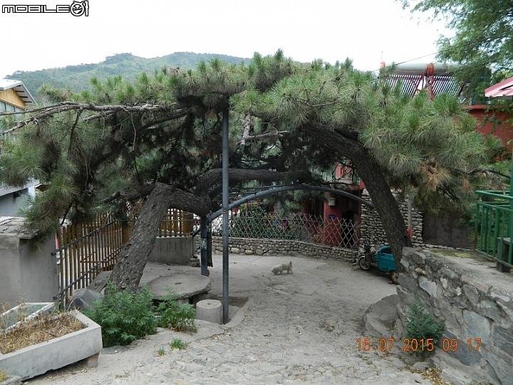 撞道口長城 (鎮虜關)