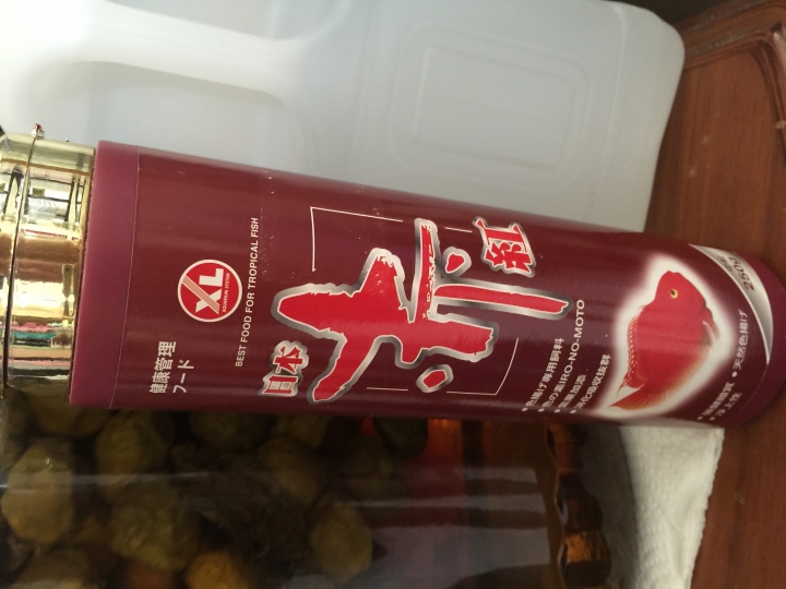 有人需要四尺魚缸嗎 用約兩年 在新莊
