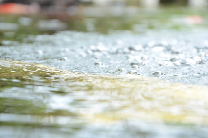 [分享] 3年．菜鳥學生