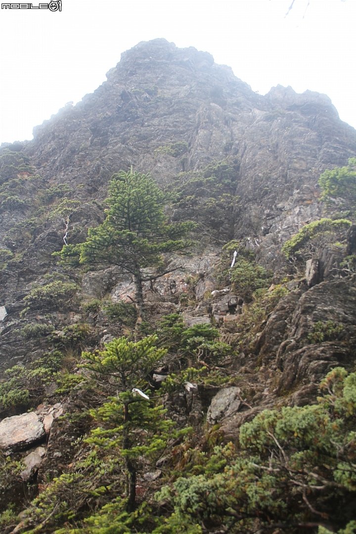 2015.07.27.28-玉山後四峰(健腳2天1夜)(下冰雹.打雷-棄東小南山)