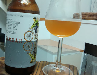 本土精釀啤酒筆記：北台灣獨立、啤酒頭立夏、水鹿恣遊者