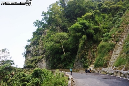 台北長征阿里山-三陽Rv270-仲夏避暑趣