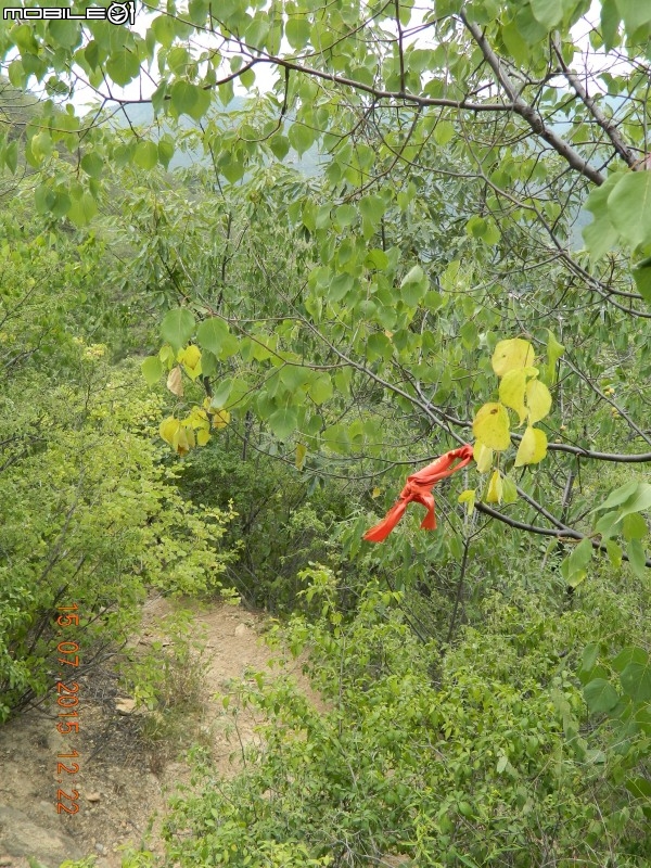 撞道口長城 (鎮虜關)
