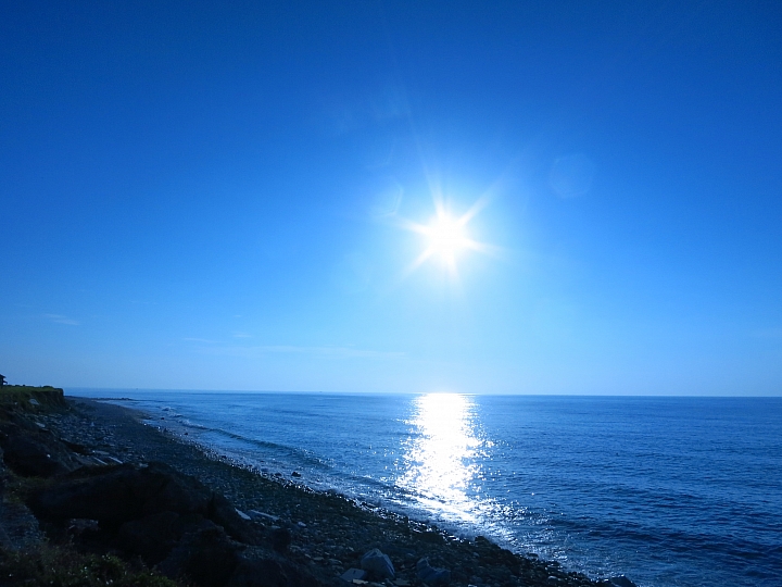 花蓮巡田水~稻浪&海浪(圖多慎入)