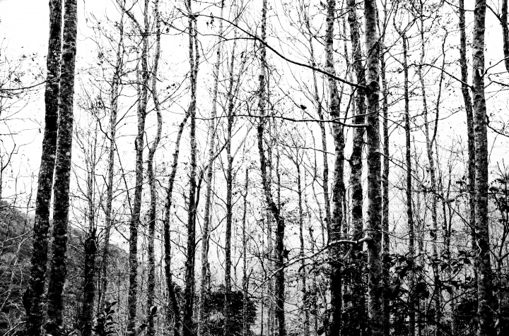 [分享] 3年．菜鳥學生