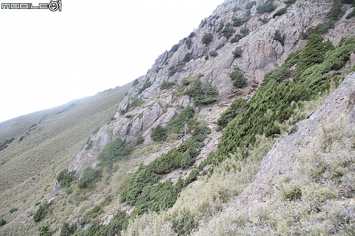 2015.07.27.28-玉山後四峰(健腳2天1夜)(下冰雹.打雷-棄東小南山)