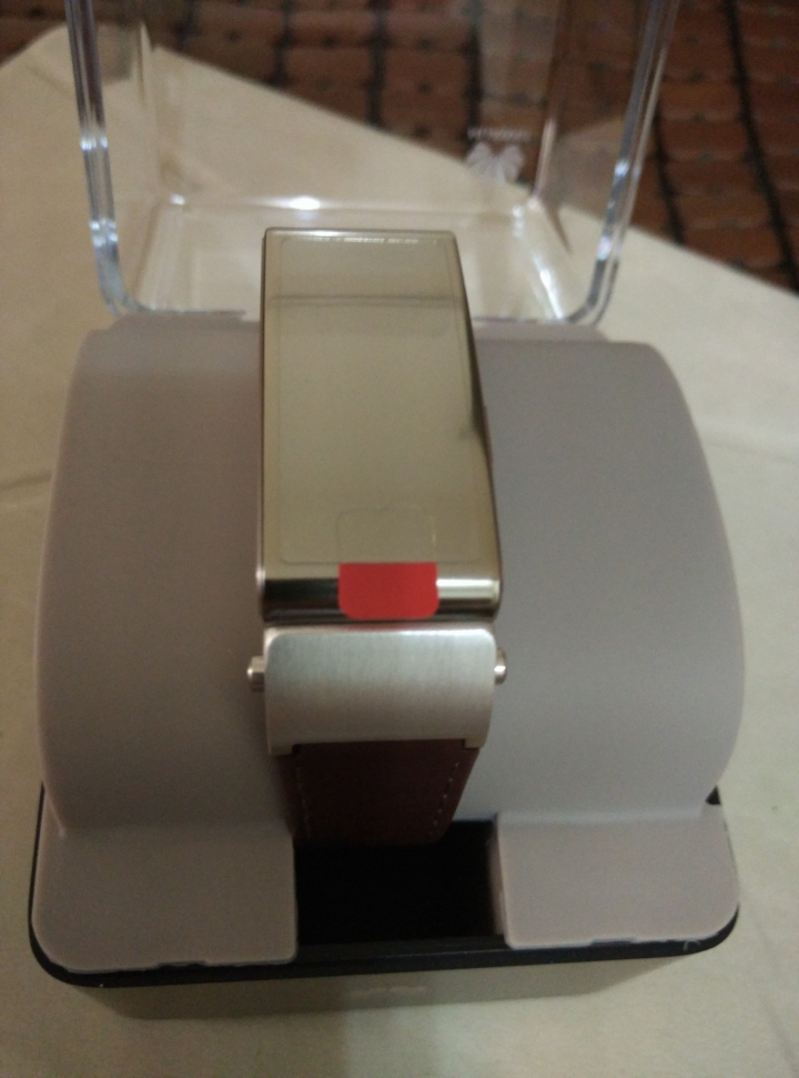 華為 TalkBand B2 入手