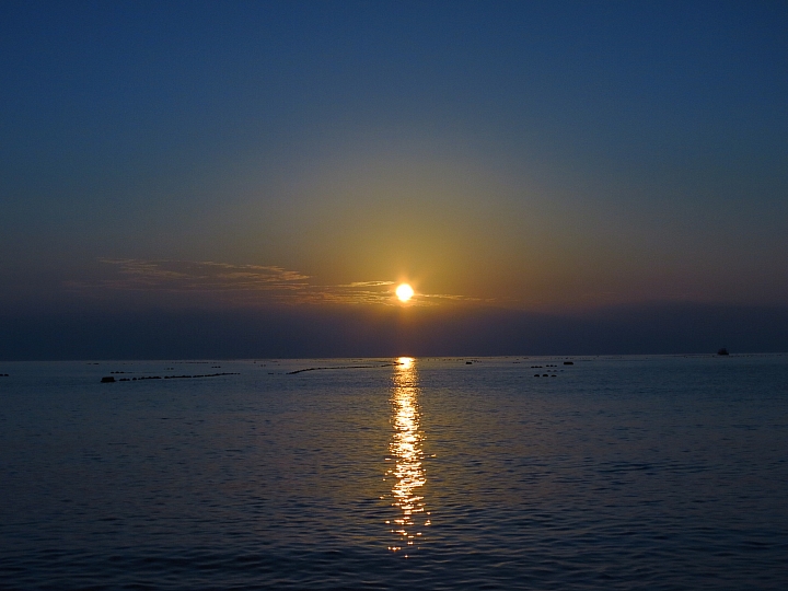 花蓮巡田水~稻浪&海浪(圖多慎入)