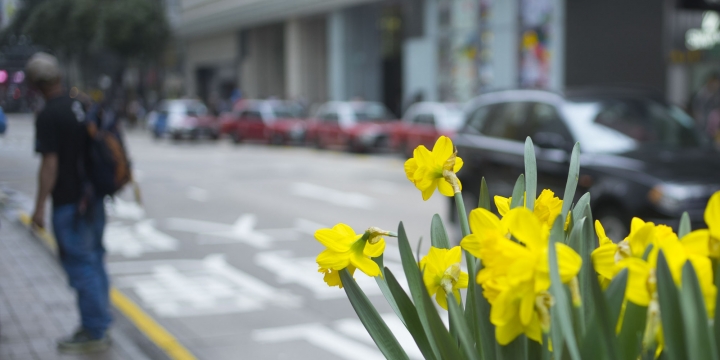 Sony a7轉接Pentax da35 F2.4 (上次發錯版了 tat~~~