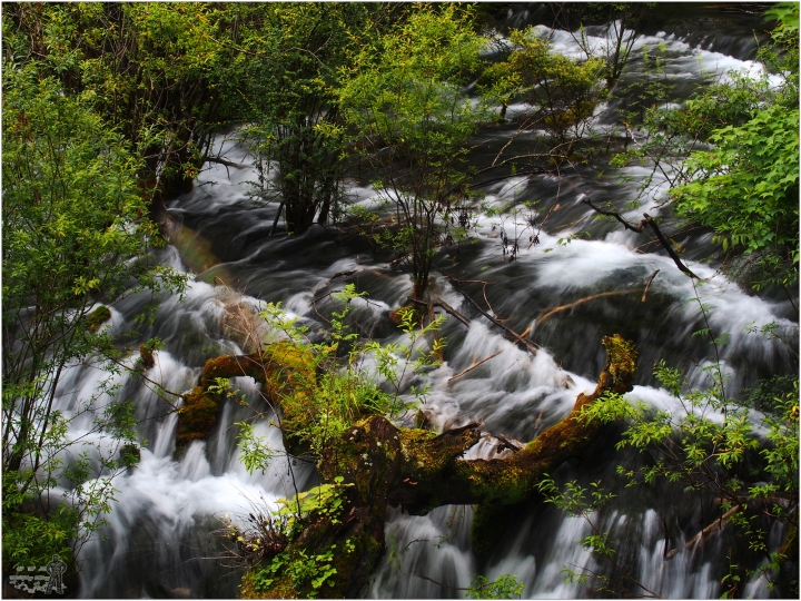 Olympus EM-5i+mZD14-150ii 九寨溝趴趴走
