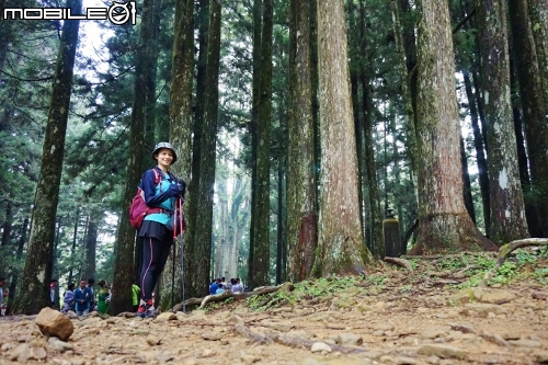 台北長征阿里山-三陽Rv270-仲夏避暑趣