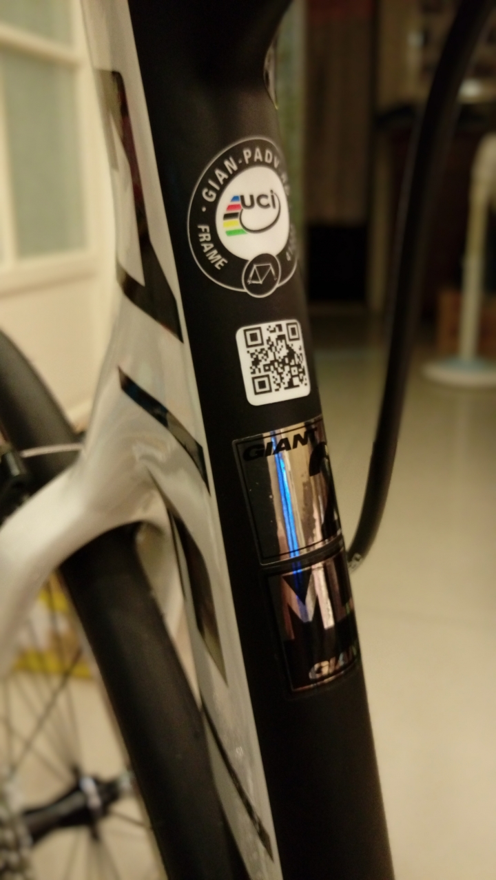 捷安特2016 Propel Advanced 2-E 開箱文