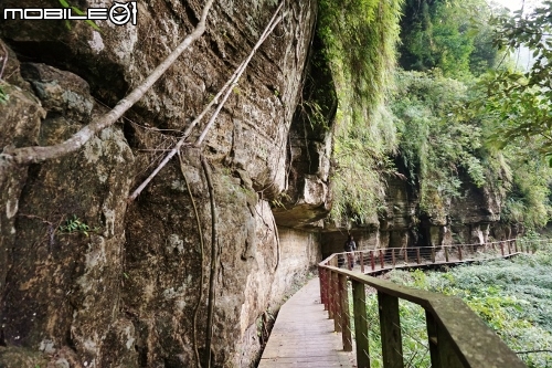 台北長征阿里山-三陽Rv270-仲夏避暑趣