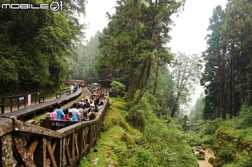 台北長征阿里山-三陽Rv270-仲夏避暑趣