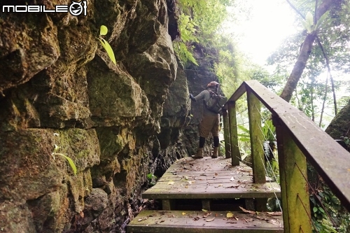 台北長征阿里山-三陽Rv270-仲夏避暑趣