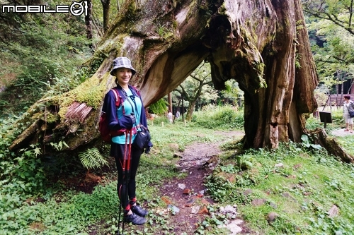 台北長征阿里山-三陽Rv270-仲夏避暑趣