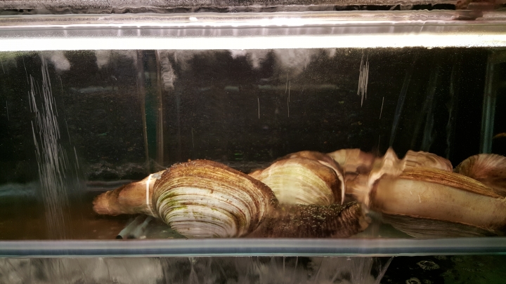 S6創意動態攝影體驗實拍分享 0.7秒快啟相機超好拍