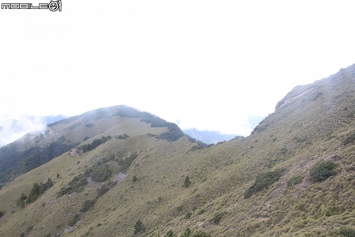 2015.07.27.28-玉山後四峰(健腳2天1夜)(下冰雹.打雷-棄東小南山)