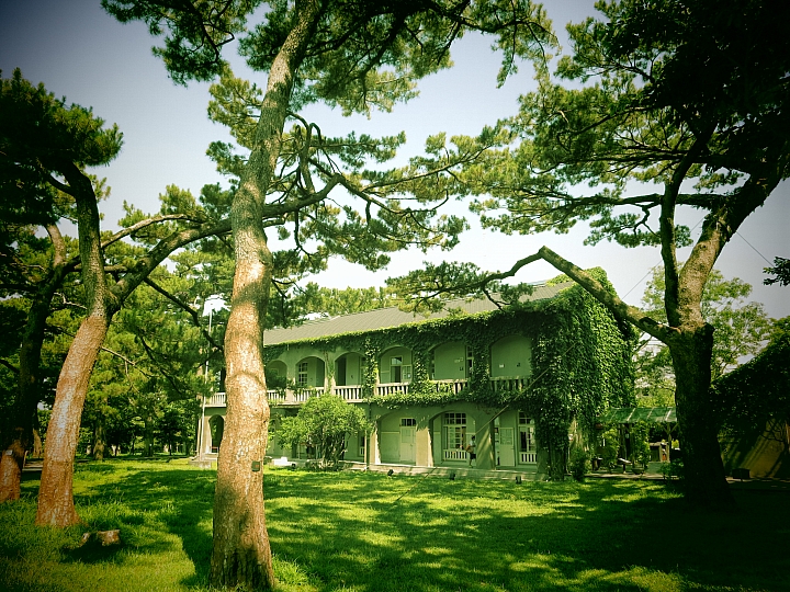 花蓮巡田水~稻浪&海浪(圖多慎入)