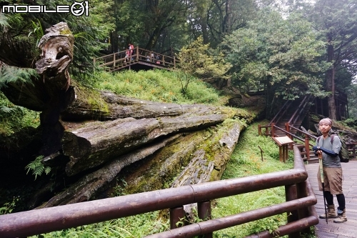 台北長征阿里山-三陽Rv270-仲夏避暑趣