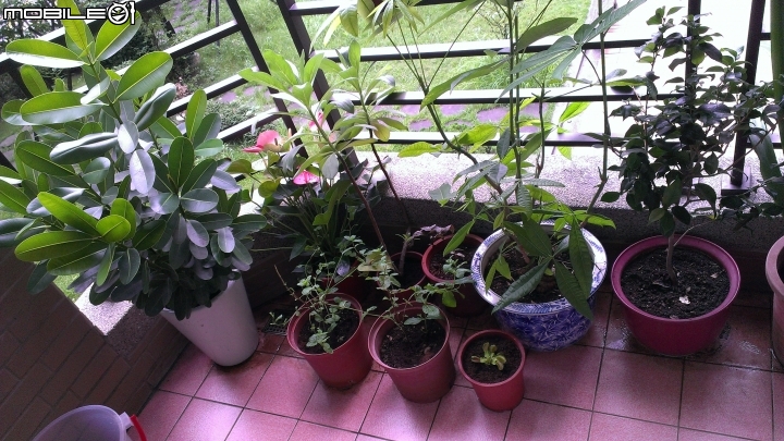 [開箱]  2年9個月 部分裝潢DIY (八) 完結篇    暨入住10個月之後的現況