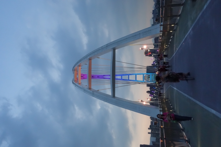 請教關於RX-100 M2技巧