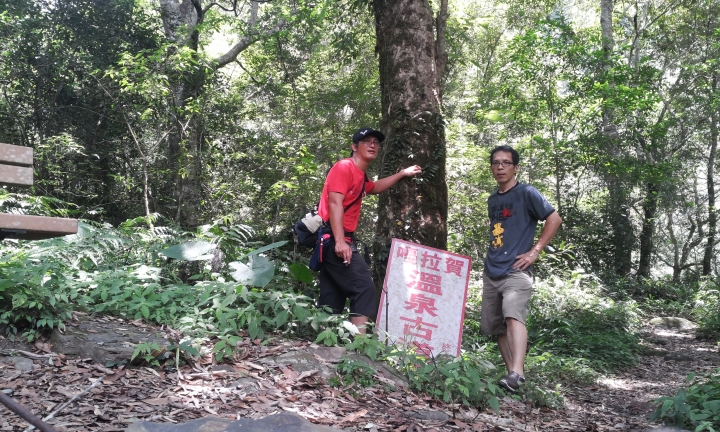 復興鄉嘎啦賀野溪溫泉消暑趣