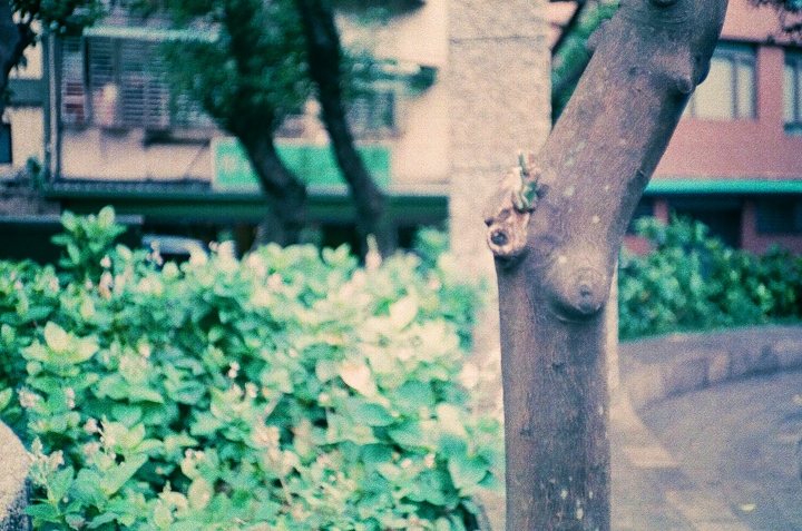 請問konica C35 怎麼拍都模糊 為什麼～～～～～～～