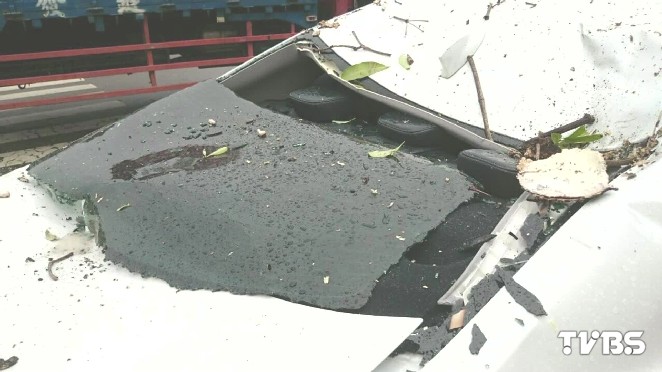 8公尺路樹砸毀2百萬名車車主申請國賠