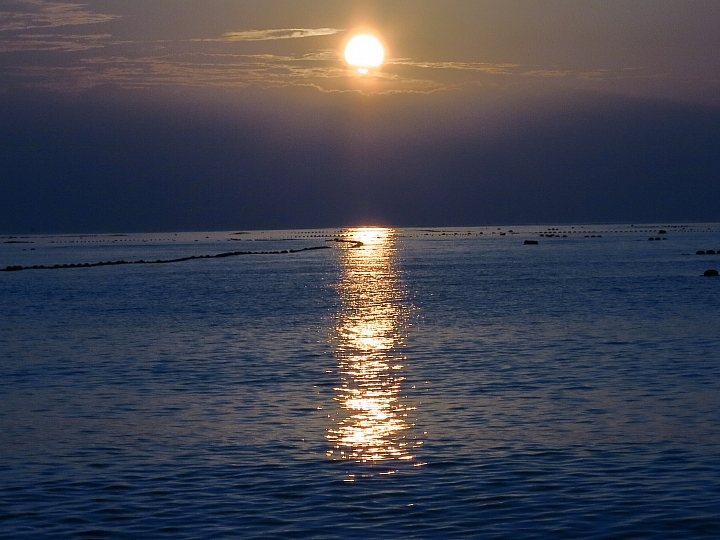 花蓮巡田水~稻浪&海浪(圖多慎入)