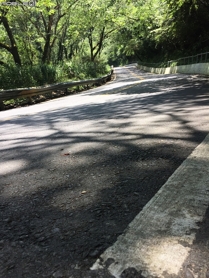 [不負責任單車遊]2015武嶺-台灣公路的高點 (北進武嶺)