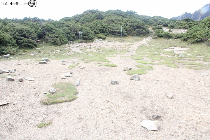 2015.07.27.28-玉山後四峰(健腳2天1夜)(下冰雹.打雷-棄東小南山)
