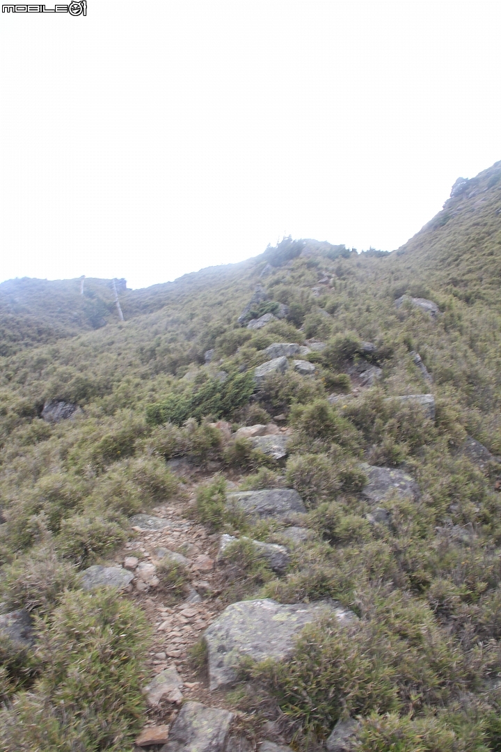 2015.07.27.28-玉山後四峰(健腳2天1夜)(下冰雹.打雷-棄東小南山)