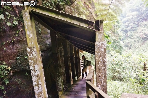 台北長征阿里山-三陽Rv270-仲夏避暑趣