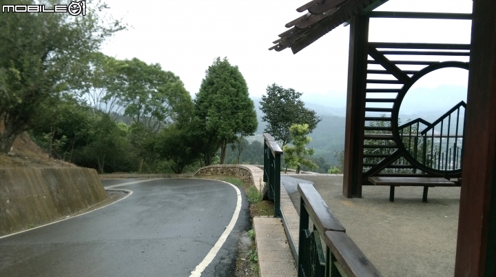 (南投)金龍山賞景遊