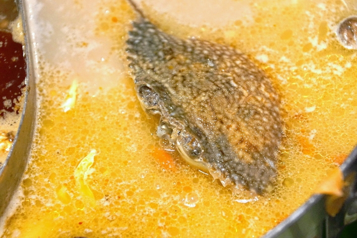 [東區] 老四川 台南東寧店