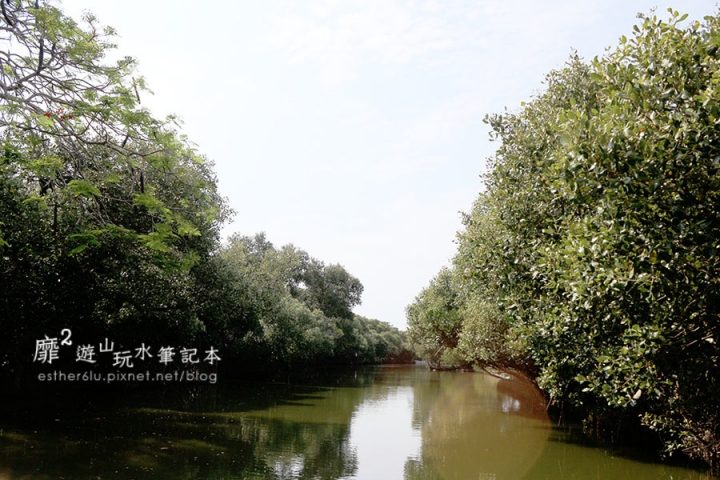 台南~ 台江國家公園 四草綠色隧道