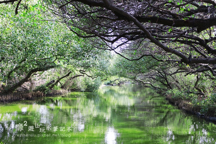 台南~ 台江國家公園 四草綠色隧道
