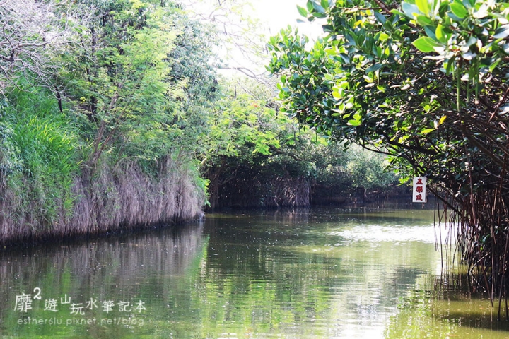 台南~ 台江國家公園 四草綠色隧道