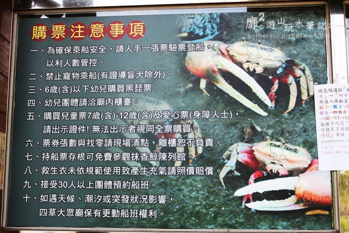 台南~ 台江國家公園 四草綠色隧道