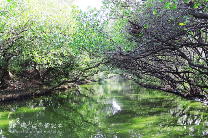 台南~ 台江國家公園 四草綠色隧道