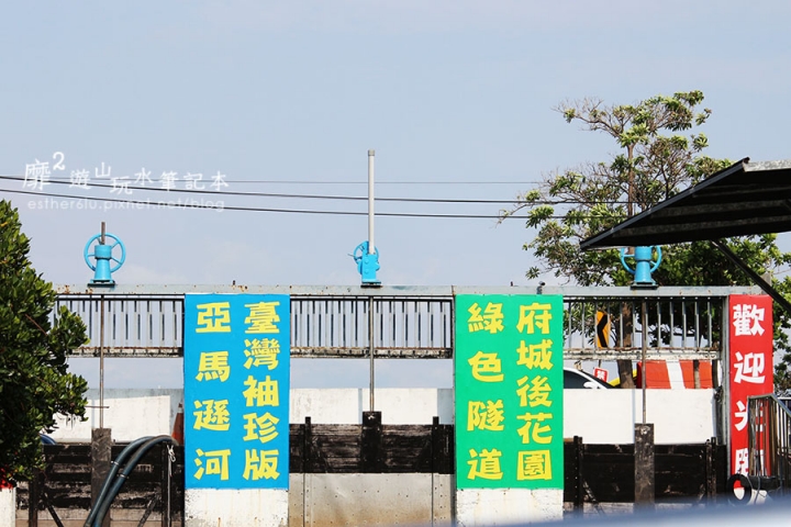 台南~ 台江國家公園 四草綠色隧道